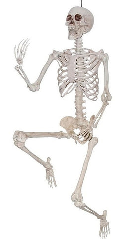 Skeleton Realistic 36IN