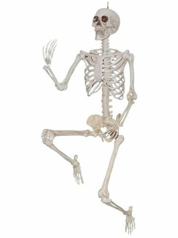 Skeleton 5FT Posable