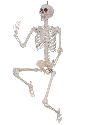 Skeleton 7FT Posable