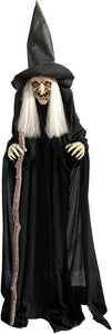 6FT Standing Animated Witch Lights Sounds Halloween Decoration Haunted House Prop