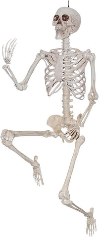 Skeleton 20INCH