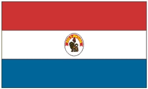 Flag 3X5 Paraguay