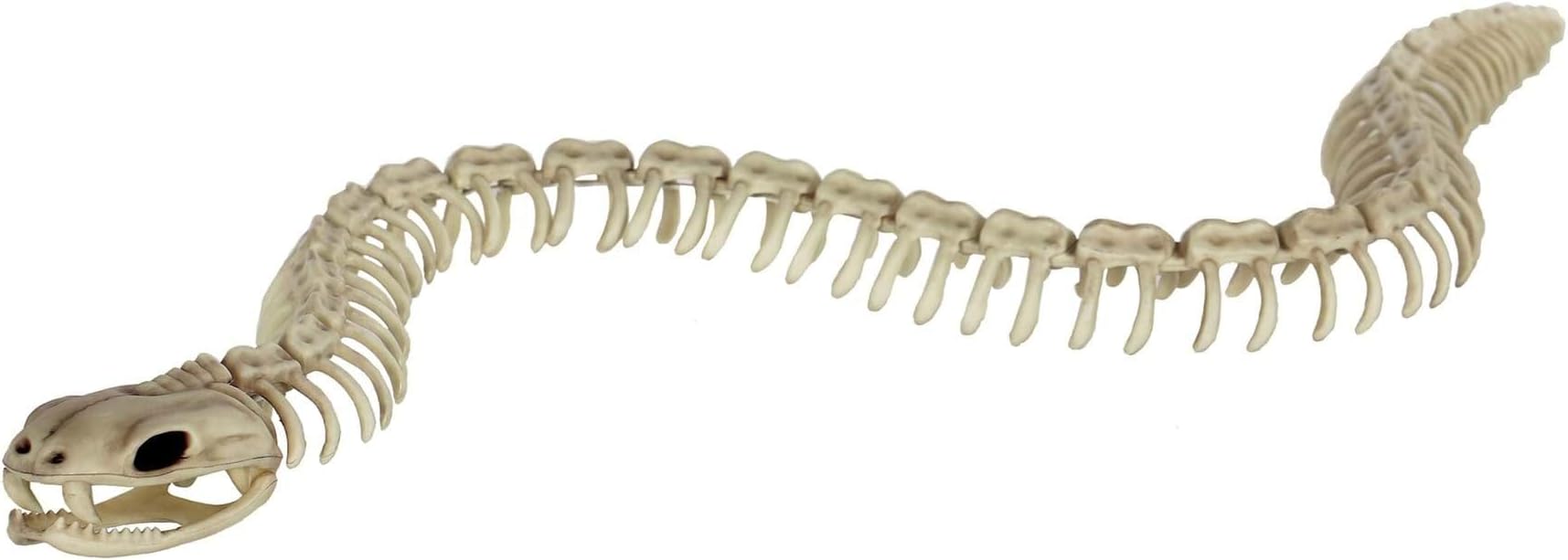 Skeleton Snake 36IN