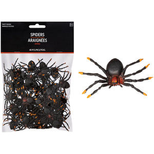 Spiders 48CT