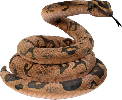 Snake Brown Python