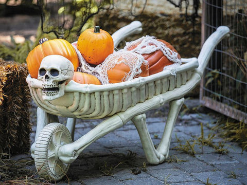 Skeleton Wheelbarrow