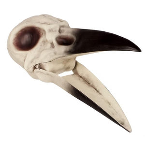 Raven Skull