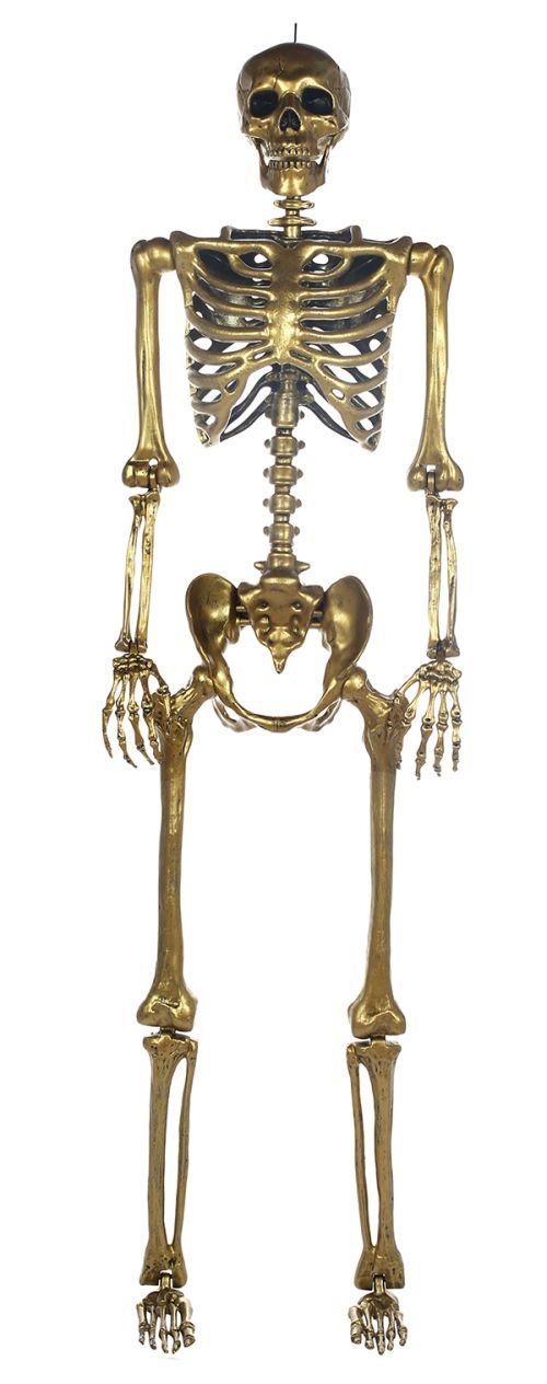 Skeleton Pose and Stay Gold 5FT