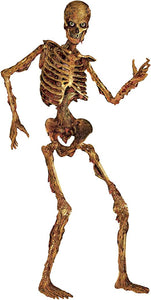 6FT Jointed Skeleton Cutout