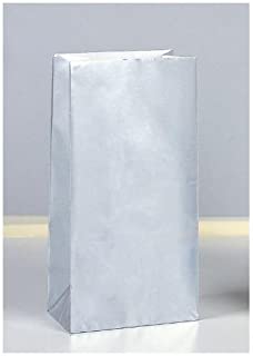 Treat Bags Paper Silver Metallic 10CT