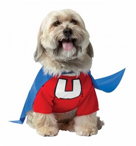 Pet Underdog