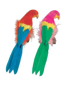 Parrot Feathered 12IN