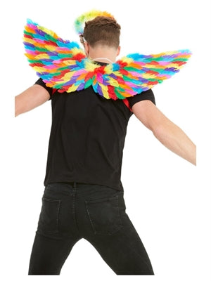 Wings Feathered Rainbow
