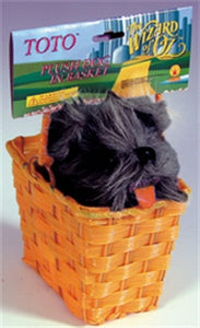Toto In Basket
