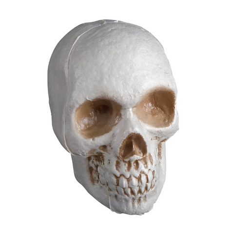 l Skull Halloween Decor Prop 5 1/2" Tall