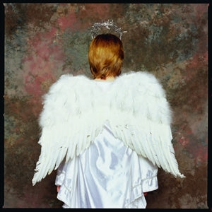 ANGEL WINGS FEATHER WHT 22X17 IN