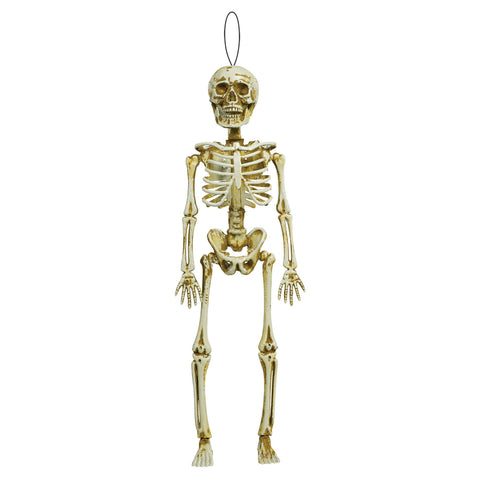 Prop Skeleton Hanging Small