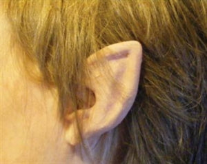 Flexi Ears Elf Flesh