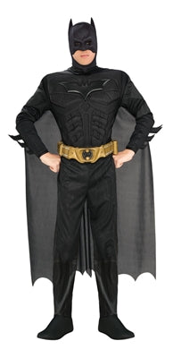 BATMAN DARK KNIGHT RISES LARGE