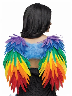 Wings Feathered Rainbow