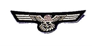 Nazi Patch Eagl