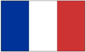 Flag 3X5 France