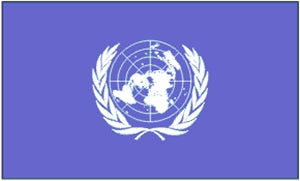 Flag 3X5 United Nations