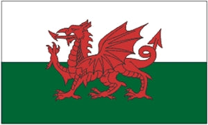 Flag 3X5 Wales