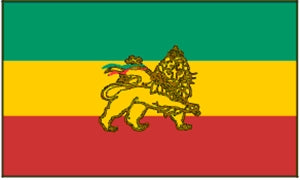 Flag 3X5 Ethiopia Lion