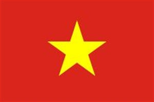 Flag 3X5 Vietnam