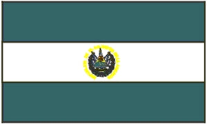 Flag 3X5 El Salvador