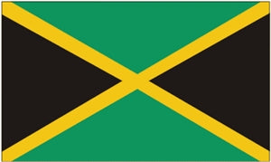 Flag 3X5 Jamaica