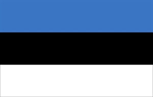 Flag 3X5 Estonia