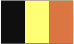 Flag 3X5 Belgium