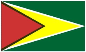 Flag 3X5 Guyana