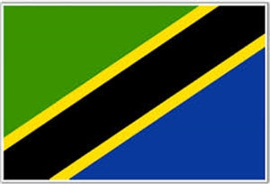 Flag 3X5 Tanzania