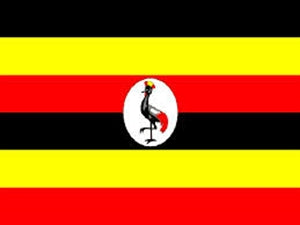 Flag 3X5 Uganda