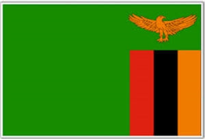 Flag 3X5 Zambia
