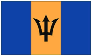 Flag 3X5 Barbados