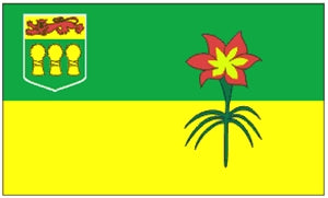Flag 3X5 Saskatchewan