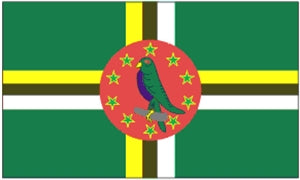 Flag 3X5 Dominica