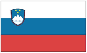 Flag 3X5 Slovenia