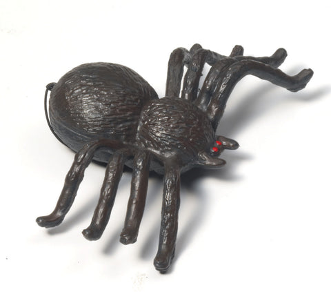 Blow-Molded Spider