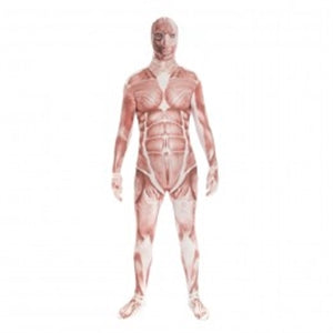 Morphsuit Muscle Large