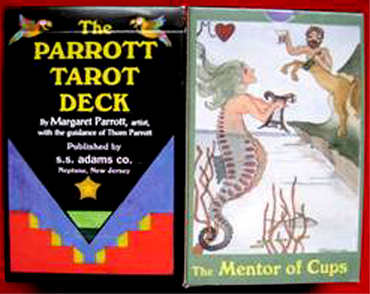 Tarot Cards Parrott Deck