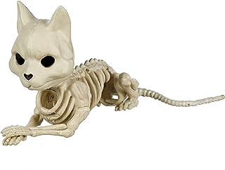 Laying Skeleton Cat