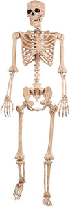 Skeleton Realistic POSE AND STAY 5FT