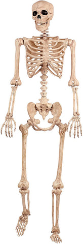 Skeleton Realistic POSE AND STAY 5FT